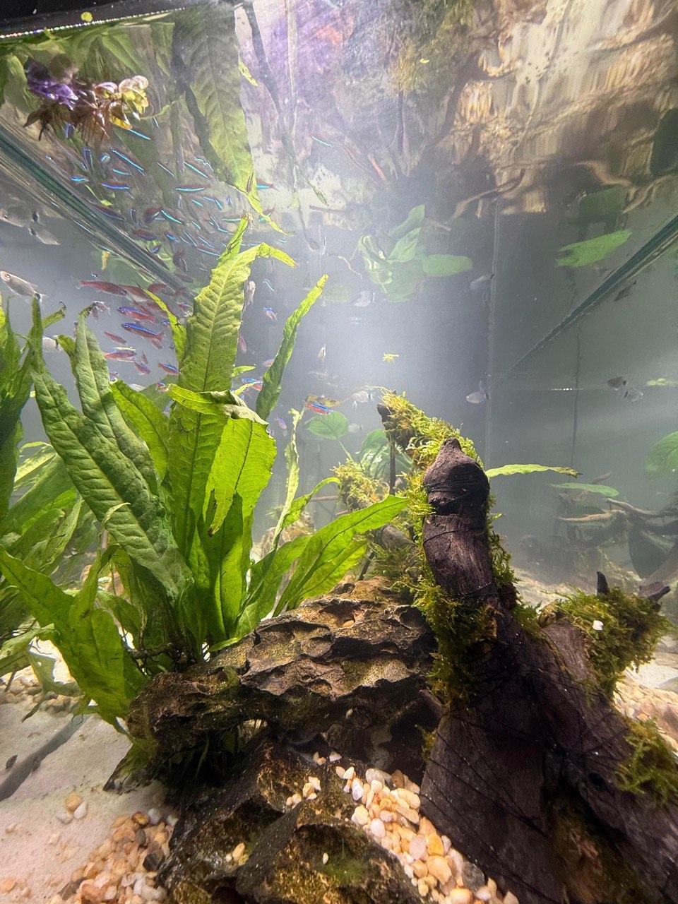 Terrarium Hero